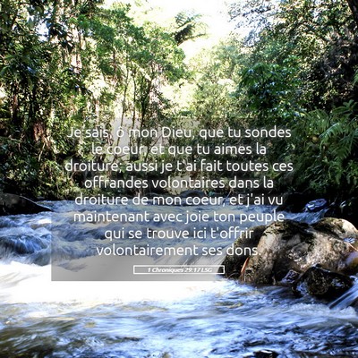 Picture 05 - 1 Chroniques 29:17 LSG - Je sais, ô mon Dieu, que tu sondes le coeur, et - Bible Verse Picture