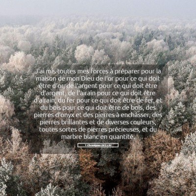 Picture 05 - 1 Chroniques 29:2 LSG - J'ai mis toutes mes forces à préparer pour la - Bible Verse Picture