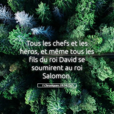 Picture 05 - 1 Chroniques 29:24 LSG - Tous les chefs et les héros, et même tous les - Bible Verse Picture