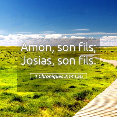 Picture 05 - 1 Chroniques 3:14 LSG - Amon, son fils; Josias, son - Bible Verse Picture