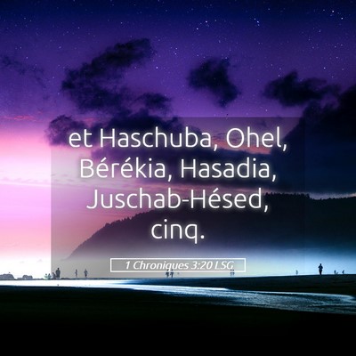Picture 05 - 1 Chroniques 3:20 LSG - et Haschuba, Ohel, Bérékia, Hasadia, - Bible Verse Picture