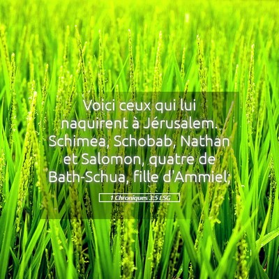 Picture 05 - 1 Chroniques 3:5 LSG - Voici ceux qui lui naquirent à Jérusalem. - Bible Verse Picture