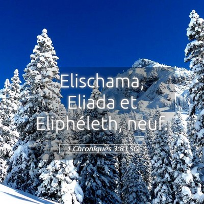 Picture 05 - 1 Chroniques 3:8 LSG - Elischama, Eliada et Eliphéleth, - Bible Verse Picture