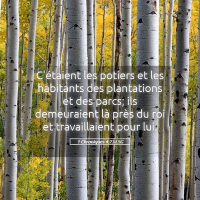 Picture 05 - 1 Chroniques 4:23 LSG - C'étaient les potiers et les habitants des - Bible Verse Picture