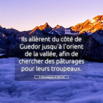 Picture 05 - 1 Chroniques 4:39 LSG - Ils allèrent du côté de Guedor jusqu'à - Bible Verse Picture