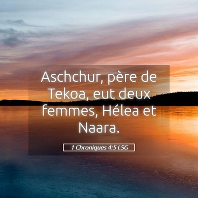 Picture 05 - 1 Chroniques 4:5 LSG - Aschchur, père de Tekoa, eut deux femmes, Hélea - Bible Verse Picture