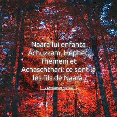 Picture 05 - 1 Chroniques 4:6 LSG - Naara lui enfanta Achuzzam, Hépher, Thémeni et - Bible Verse Picture