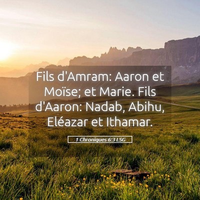 Picture 05 - 1 Chroniques 6:3 LSG - Fils d'Amram: Aaron et Moïse; et Marie. Fils - Bible Verse Picture