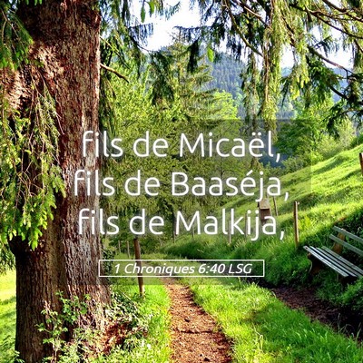 Picture 05 - 1 Chroniques 6:40 LSG - fils de Micaël, fils de Baaséja, fils de - Bible Verse Picture