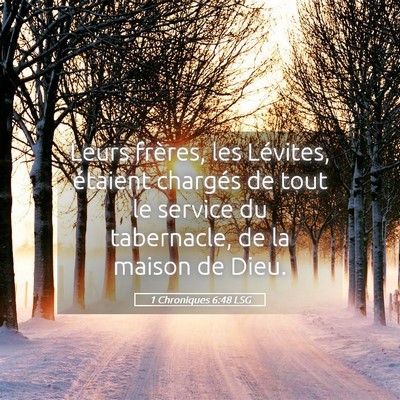Picture 05 - 1 Chroniques 6:48 LSG - Leurs frères, les Lévites, étaient chargés de - Bible Verse Picture