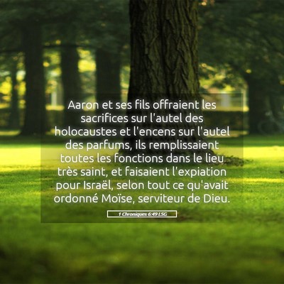 Picture 05 - 1 Chroniques 6:49 LSG - Aaron et ses fils offraient les sacrifices sur - Bible Verse Picture