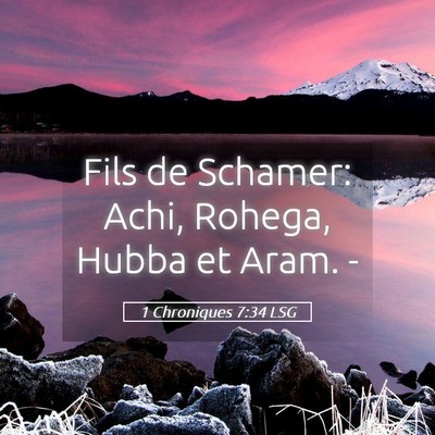 Picture 05 - 1 Chroniques 7:34 LSG - Fils de Schamer: Achi, Rohega, Hubba et Aram. - Bible Verse Picture