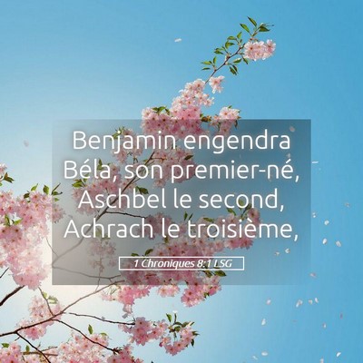 Picture 05 - 1 Chroniques 8:1 LSG - Benjamin engendra Béla, son premier-né, Aschbel - Bible Verse Picture