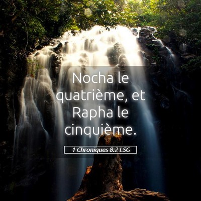 Picture 05 - 1 Chroniques 8:2 LSG - Nocha le quatrième, et Rapha le - Bible Verse Picture
