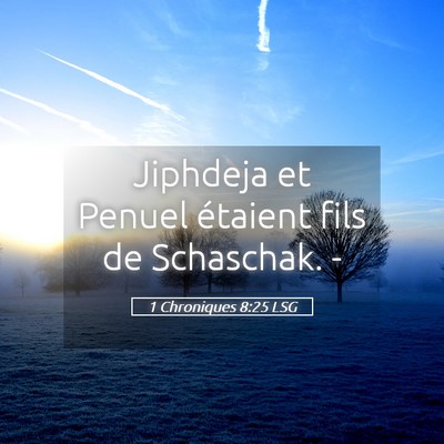 Picture 05 - 1 Chroniques 8:25 LSG - Jiphdeja et Penuel étaient fils de Schaschak. - Bible Verse Picture