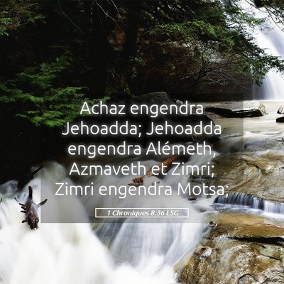 Picture 05 - 1 Chroniques 8:36 LSG - Achaz engendra Jehoadda; Jehoadda engendra - Bible Verse Picture