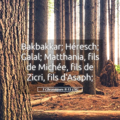 Picture 05 - 1 Chroniques 9:15 LSG - Bakbakkar; Héresch; Galal; Matthania, fils de - Bible Verse Picture