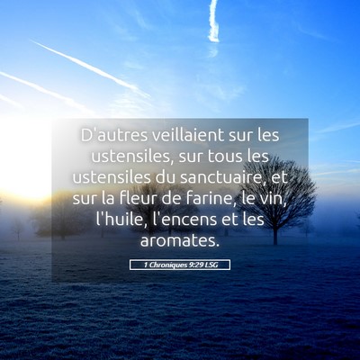Picture 05 - 1 Chroniques 9:29 LSG - D'autres veillaient sur les ustensiles, sur tous - Bible Verse Picture