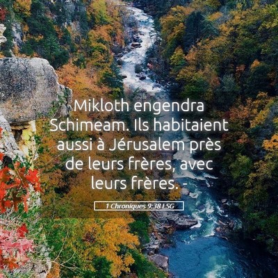 Picture 05 - 1 Chroniques 9:38 LSG - Mikloth engendra Schimeam. Ils habitaient aussi - Bible Verse Picture