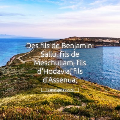Picture 05 - 1 Chroniques 9:7 LSG - Des fils de Benjamin: Sallu, fils de Meschullam, - Bible Verse Picture
