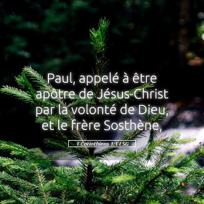 Picture 05 - 1 Corinthiens 1:1 LSG - Paul, appelé à être apôtre de Jésus-Christ - Bible Verse Picture