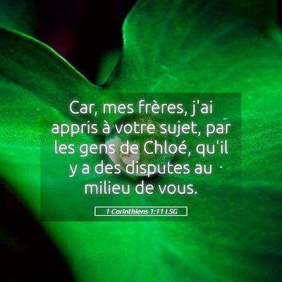 Picture 05 - 1 Corinthiens 1:11 LSG - Car, mes frères, j'ai appris à votre sujet, par - Bible Verse Picture