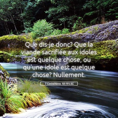 Picture 05 - 1 Corinthiens 10:19 LSG - Que dis-je donc? Que la viande sacrifiée aux - Bible Verse Picture