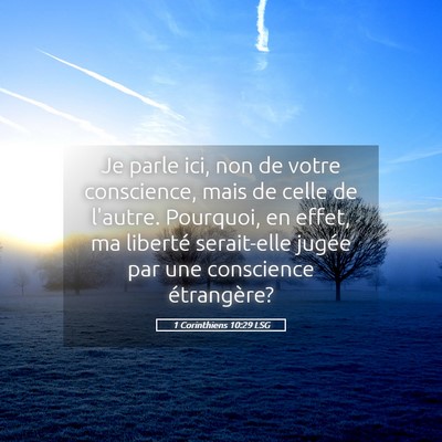 Picture 05 - 1 Corinthiens 10:29 LSG - Je parle ici, non de votre conscience, mais de - Bible Verse Picture