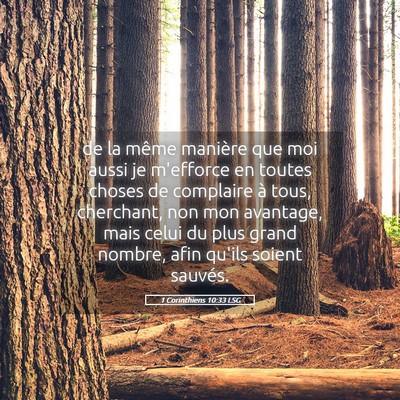 Picture 05 - 1 Corinthiens 10:33 LSG - de la même manière que moi aussi je m'efforce - Bible Verse Picture