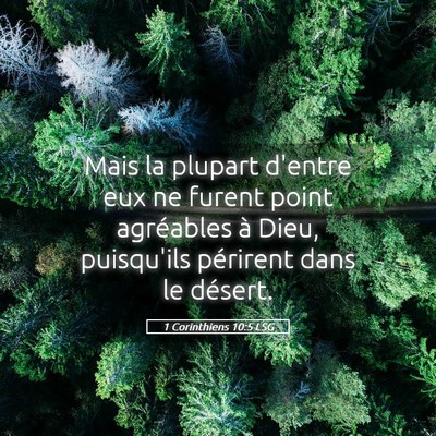 Picture 05 - 1 Corinthiens 10:5 LSG - Mais la plupart d'entre eux ne furent point - Bible Verse Picture