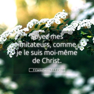 Picture 05 - 1 Corinthiens 11:1 LSG - Soyez mes imitateurs, comme je le suis moi-même - Bible Verse Picture
