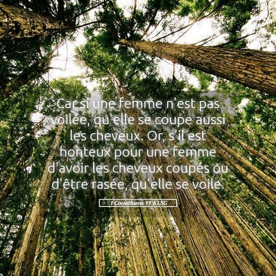 Picture 05 - 1 Corinthiens 11:6 LSG - Car si une femme n'est pas voilée, qu'elle se - Bible Verse Picture