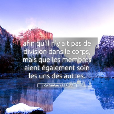 Picture 05 - 1 Corinthiens 12:25 LSG - afin qu'il n'y ait pas de division dans le corps, - Bible Verse Picture