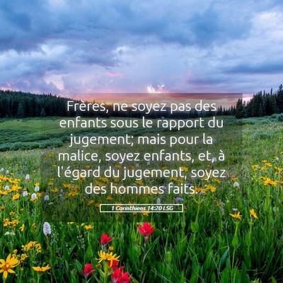 Picture 05 - 1 Corinthiens 14:20 LSG - Frères, ne soyez pas des enfants sous le rapport - Bible Verse Picture
