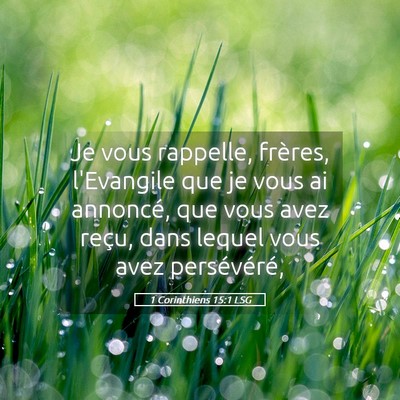 Picture 05 - 1 Corinthiens 15:1 LSG - Je vous rappelle, frères, l'Evangile que je vous - Bible Verse Picture