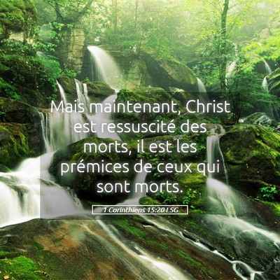 Picture 05 - 1 Corinthiens 15:20 LSG - Mais maintenant, Christ est ressuscité des - Bible Verse Picture