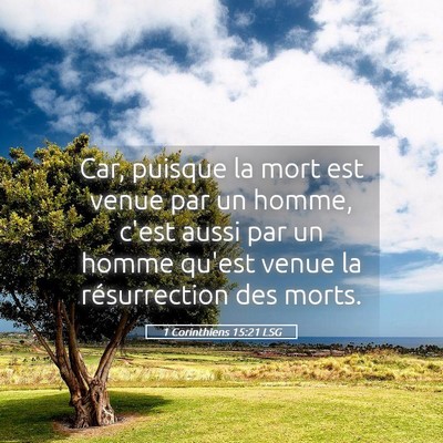 Picture 05 - 1 Corinthiens 15:21 LSG - Car, puisque la mort est venue par un homme, - Bible Verse Picture