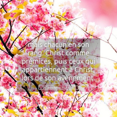 Picture 05 - 1 Corinthiens 15:23 LSG - mais chacun en son rang. Christ comme prémices, - Bible Verse Picture