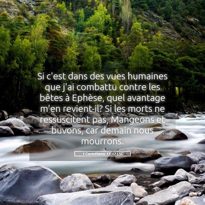 Picture 05 - 1 Corinthiens 15:32 LSG - Si c'est dans des vues humaines que j'ai combattu - Bible Verse Picture