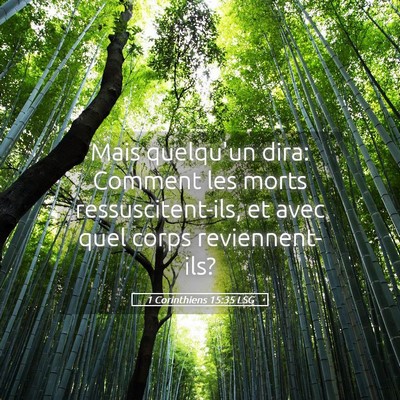 Picture 05 - 1 Corinthiens 15:35 LSG - Mais quelqu'un dira: Comment les morts - Bible Verse Picture