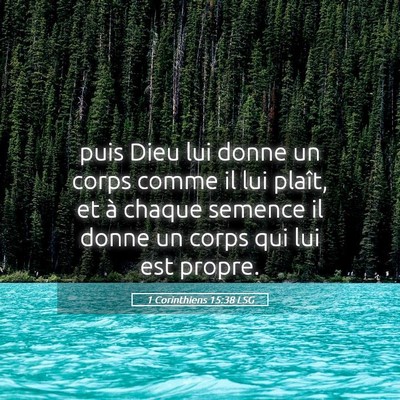Picture 05 - 1 Corinthiens 15:38 LSG - puis Dieu lui donne un corps comme il lui plaît, - Bible Verse Picture