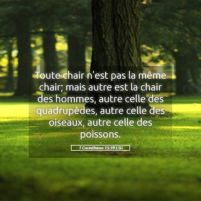 Picture 05 - 1 Corinthiens 15:39 LSG - Toute chair n'est pas la même chair; mais autre - Bible Verse Picture