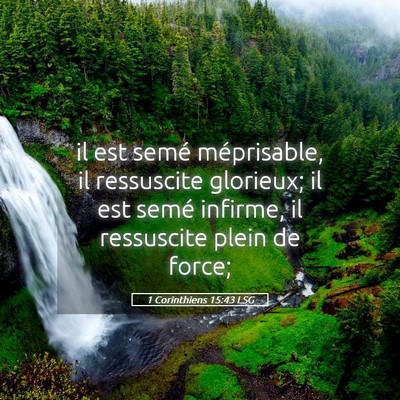 Picture 05 - 1 Corinthiens 15:43 LSG - il est semé méprisable, il ressuscite glorieux; - Bible Verse Picture