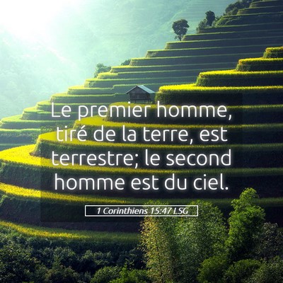 Picture 05 - 1 Corinthiens 15:47 LSG - Le premier homme, tiré de la terre, est - Bible Verse Picture