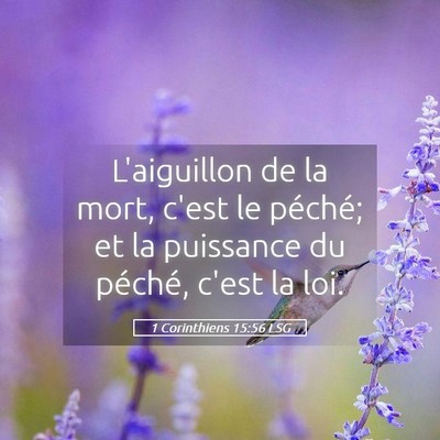 Picture 05 - 1 Corinthiens 15:56 LSG - L'aiguillon de la mort, c'est le péché; et la - Bible Verse Picture