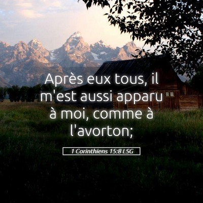 Picture 05 - 1 Corinthiens 15:8 LSG - Après eux tous, il m'est aussi apparu à moi, - Bible Verse Picture