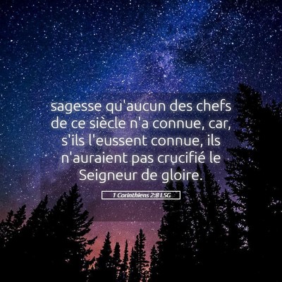 Picture 05 - 1 Corinthiens 2:8 LSG - sagesse qu'aucun des chefs de ce siècle n'a - Bible Verse Picture