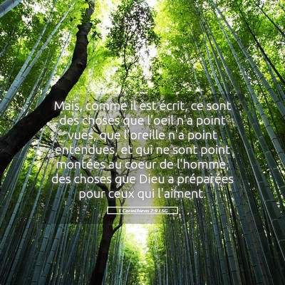 Picture 05 - 1 Corinthiens 2:9 LSG - Mais, comme il est écrit, ce sont des choses que - Bible Verse Picture