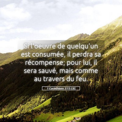 Picture 05 - 1 Corinthiens 3:15 LSG - Si l'oeuvre de quelqu'un est consumée, il perdra - Bible Verse Picture