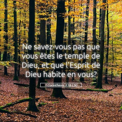 Picture 05 - 1 Corinthiens 3:16 LSG - Ne savez-vous pas que vous êtes le temple de - Bible Verse Picture
